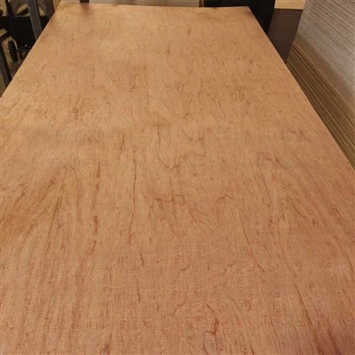 Rooj tog-qib Decorative Bintangor Plywood